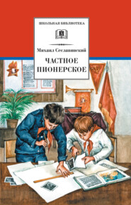 бесплатно читать книгу Частное пионерское автора Михаил Сеславинский