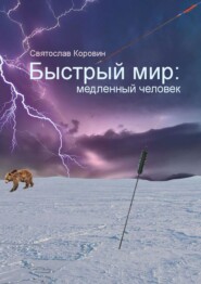 бесплатно читать книгу Быстрый мир: медленный человек автора Святослав Коровин