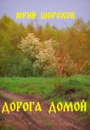 бесплатно читать книгу Дорога домой автора Юрий Шорохов