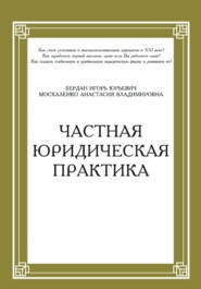 бесплатно читать книгу Частная юридическая практика автора Игорь Бердан