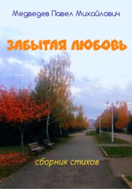 бесплатно читать книгу Забытая любовь автора Павел Медведев