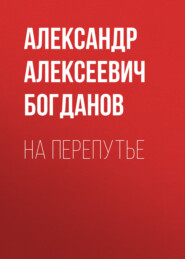 бесплатно читать книгу На перепутье автора Александр Богданов