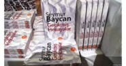 бесплатно читать книгу Gecikmiş hekayələr автора Seymur Baycan