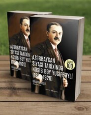 бесплатно читать книгу Azərbaycan siyasi tarixində - Nəsib Bəy Yusifbəyli автора İbrahim Süslü