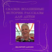бесплатно читать книгу Сказки, волшебные истории, рассказы для детей автора Валерий Шилин