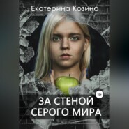 бесплатно читать книгу За стеной серого мира автора Екатерина Козина