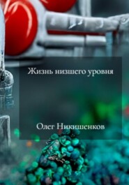бесплатно читать книгу Жизнь низшего уровня автора Олег Никишенков