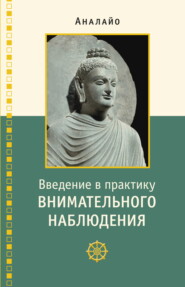 бесплатно читать книгу Введение в практику внимательного наблюдения. Буддийское обоснование и практические занятия автора Бхиккху Аналайо
