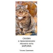 бесплатно читать книгу Сказка о приключениях лесного кота Барсика автора Татьяна Тумилевич