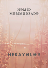 бесплатно читать книгу Hekayələr автора Həmid Məmmədzadə
