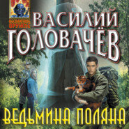 бесплатно читать книгу Ведьмина поляна автора Василий Головачев