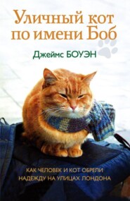 бесплатно читать книгу Уличный кот по имени Боб. Как человек и кот обрели надежду на улицах Лондона автора Джеймс Боуэн