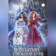 бесплатно читать книгу Кассандра и Блэр в объятиях снежной бури автора Мэри Лэй