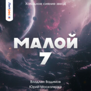 бесплатно читать книгу Малой 7 автора Владлен Вадимов
