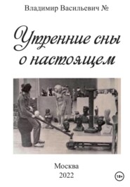 бесплатно читать книгу Утренние сны о настоящем автора Владимир №