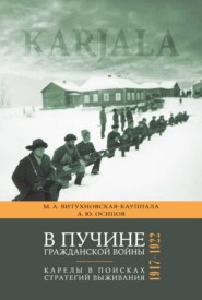 бесплатно читать книгу В пучине гражданской войны. Карелы в поисках стратегий выживания. 1917–1922 автора Александр Осипов