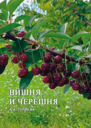 бесплатно читать книгу Вишня и черешня автора А. Гуляева