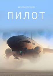 бесплатно читать книгу Пилот автора Дмитрий Петелин