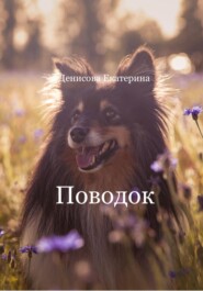 бесплатно читать книгу Поводок автора Екатерина Денисова