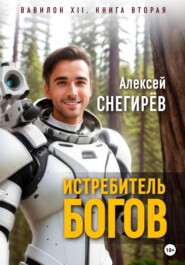 бесплатно читать книгу Истребитель богов автора Алексей Снегирёв