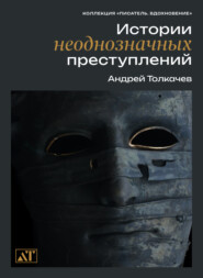 бесплатно читать книгу Истории неоднозначных преступлений автора Андрей Толкачев