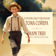 бесплатно читать книгу Приключения Тома Сойера автора Марк Твен
