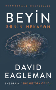 бесплатно читать книгу BEYİN: SƏNİN HEKAYƏN автора Devid İqlmen