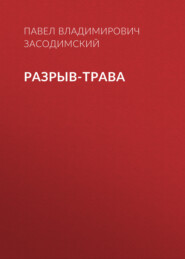 бесплатно читать книгу Разрыв-трава автора Павел Засодимский