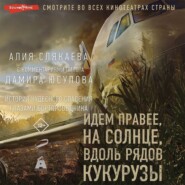 бесплатно читать книгу Идем правее, на солнце, вдоль рядов кукурузы. История чудесного спасения глазами бортпроводника автора Алия Слякаева