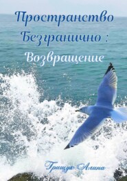 бесплатно читать книгу Пространство безгранично: Возвращение автора Алина Грищук