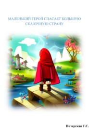 бесплатно читать книгу Маленький герой спасает большую сказочную страну автора Татьяна Питерская