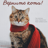 бесплатно читать книгу Верните кота автора Вадим Степанов