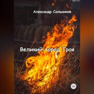 бесплатно читать книгу Великий город Троя автора Александр Сальников