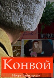 бесплатно читать книгу Конвой автора Игорь Башкирцев