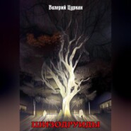 бесплатно читать книгу Шизодруиды автора Валерий Цуркан