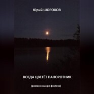 бесплатно читать книгу Когда цветёт папоротник автора Юрий Шорохов