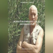 бесплатно читать книгу Животворящие силы Пятиозерья автора Анатолий Агарков