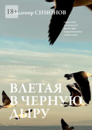 бесплатно читать книгу Влетая в Черную дыру. Серия книг поэтической философии миропонимания новой эпохи автора Владимир Симонов