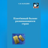 бесплатно читать книгу Платёжный баланс развивающихся стран автора Сергей Каледин