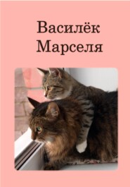 бесплатно читать книгу Василёк Марселя автора Жанна Кольцова