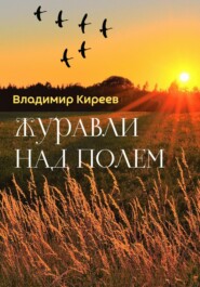 бесплатно читать книгу Журавли над полем автора Владимир Киреев