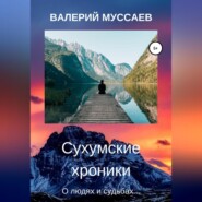 бесплатно читать книгу Сухумские хроники автора Валерий Муссаев