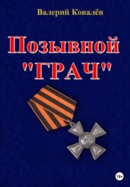 бесплатно читать книгу Позывной «Грач» автора Валерий Ковалев