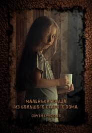 бесплатно читать книгу Маленькая Даша из большого старого дома автора Сергей Ермолаев