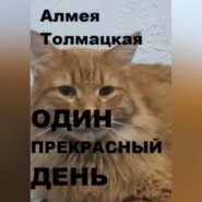 бесплатно читать книгу Один прекрасный день автора  Алмея Толмацкая