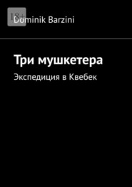 бесплатно читать книгу Три мушкетера. Экспедиция в Квебек автора Dominik Barzini