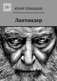 бесплатно читать книгу Лаптандер автора Юрий Пожидаев