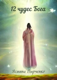 бесплатно читать книгу 12 чудес Бога автора Ясмина Пырченко