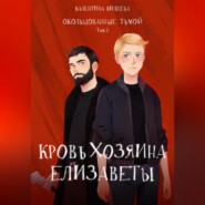 бесплатно читать книгу Окольцованные тьмой. Том 3. Кровь хозяина Елизаветы автора Валентина Вилеева