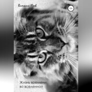 бесплатно читать книгу Жизнь времени во вселенной автора Виталий Юров